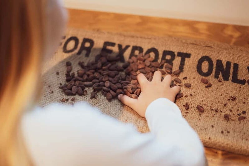 Porto: Entry Ticket at WOW The Chocolate Experience by 20|20 - A 5,000-year chocolate timeline you can taste in Porto
