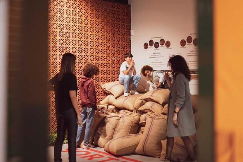 Porto: Entry Ticket at WOW The Chocolate Experience by 20|20 - The bean-to-bar process: harvesting to fermentation to conching