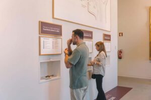 Porto: Entry Ticket at WOW - The Wine Experience Museum - Walking the grape-to-glass route: exhibits that teach without lecturing