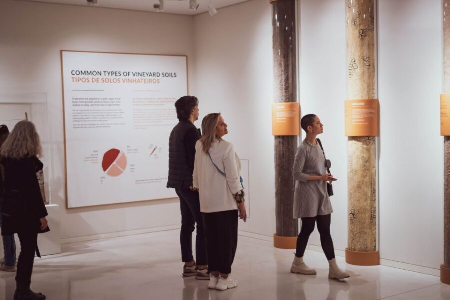 Porto: Entry Ticket at WOW - The Wine Experience Museum - The tasting at the end: red, white and port (and how to taste)
