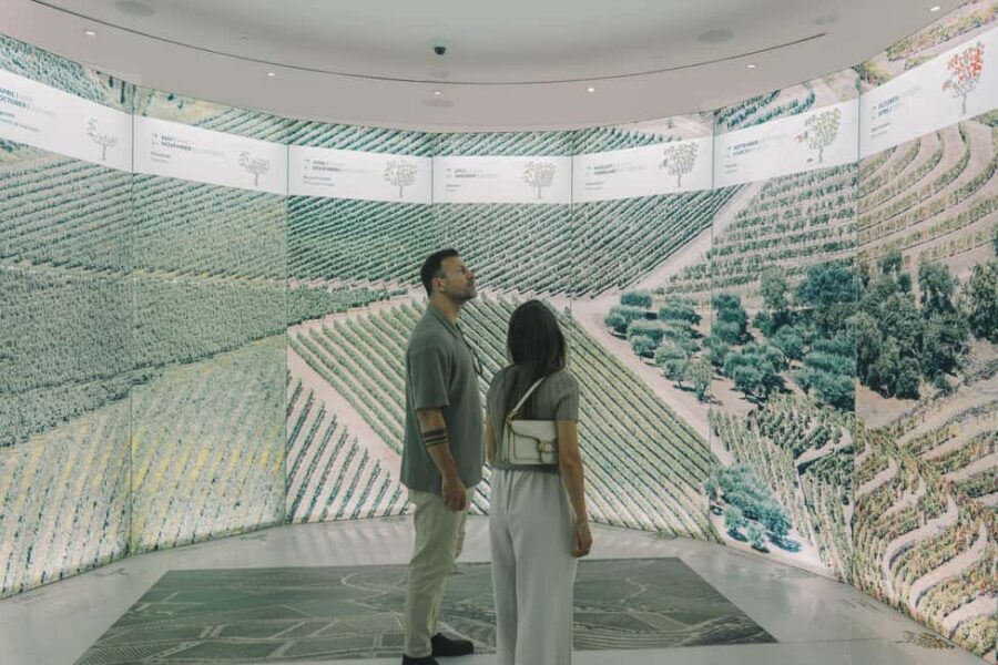 Porto: Entry Ticket at WOW - The Wine Experience Museum - Timing your visit: 1.5 hours on paper, longer in real life