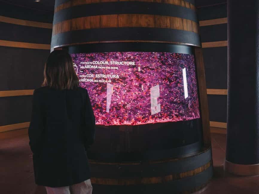 Porto: Entry Ticket at WOW - The Wine Experience Museum - Should you book the WOW Wine Experience Museum?