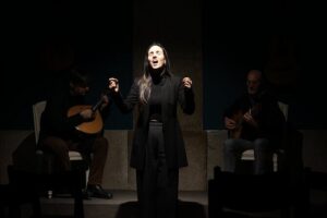 Porto : Fado and Porto Wine Show at the Trinity Noble Hall - The 1-hour flow: what you’ll experience from start to finish