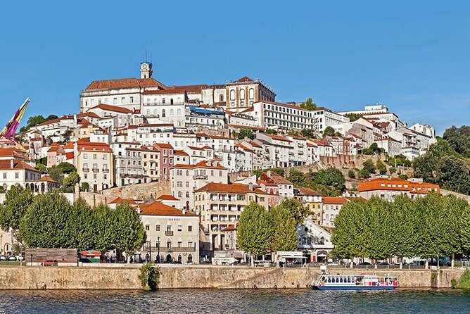 Porto: Fatima and Coimbra Day Trip - Basilica of Nossa Senhora do Rosário de Fátima: pilgrims, devotion, and a famous bullet