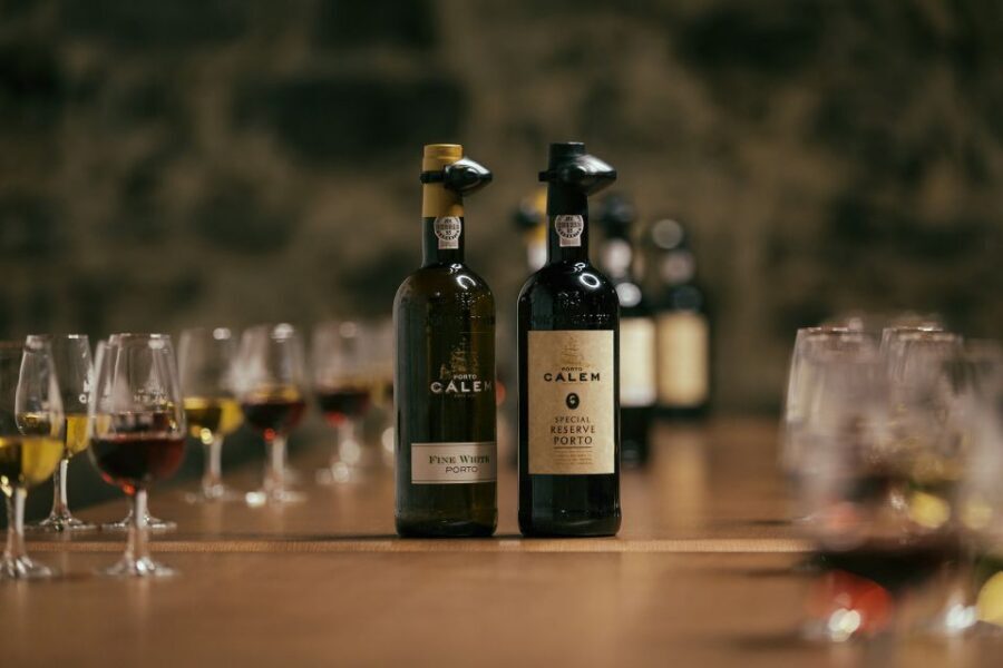 Porto: Guided City Walking Tour & Port Wine Cellar - Topics beyond wine: religion, trade, tourism impact, and daily life