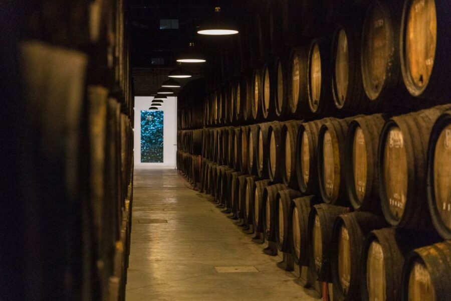 Porto: Guided Tour and Tasting of 3 Port Wines at Poças - Touring Poças: what the experience is really like