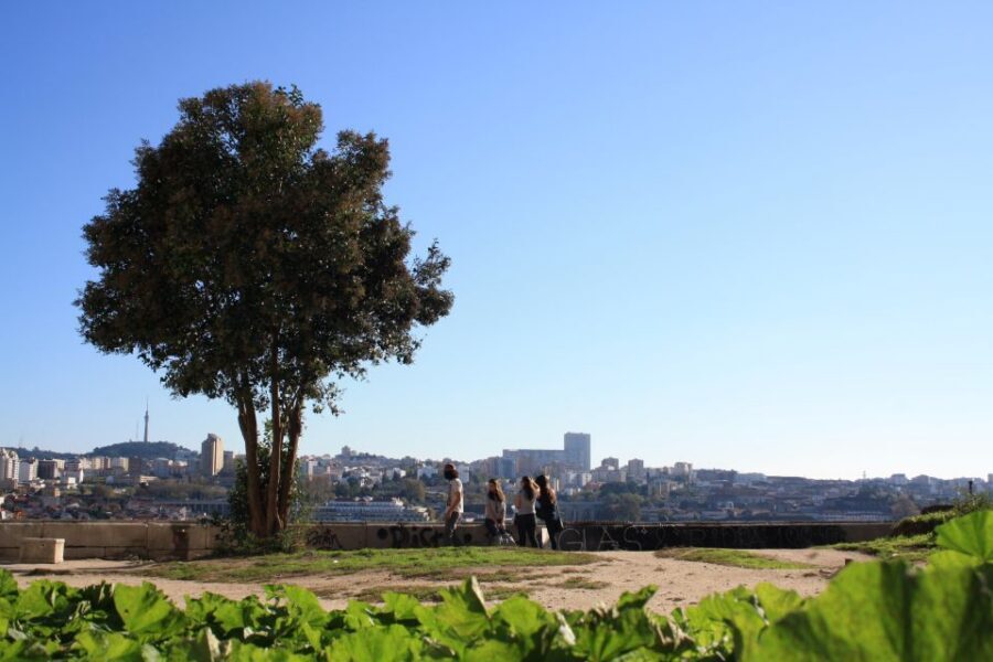 Porto: Half-Day Jewish Tour - Ribeira and Miragaia: Douro views with a sharper backstory