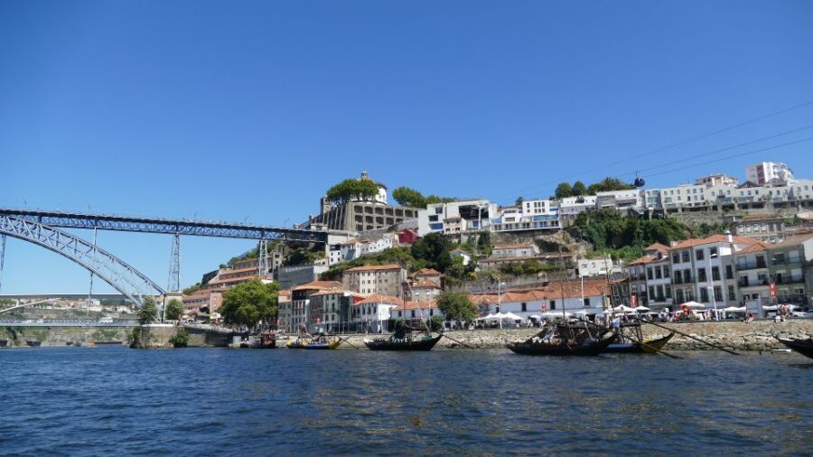 Porto Half-Day Tour and Wine Tasting - What the best guides bring (and why it matters on a half-day tour)