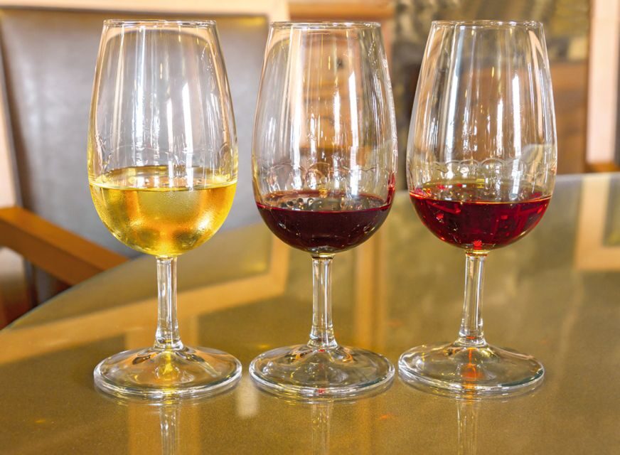 Porto Half-Day Tour and Wine Tasting - Pacing, comfort, and what to bring for a 4-hour walk