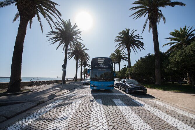 Porto Hop On Hop Off Bus Tour with Wine tasting & Night tour - Crossing to Gaia: WOW Porto, viewpoints, and wine-cellar reality