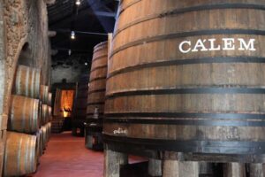 Porto: Hop-on Hop-off Bus with Optional Cruise & Wine Cellar - Top Jump-Off Moments: What Each Area Is Good For (and what to watch)
