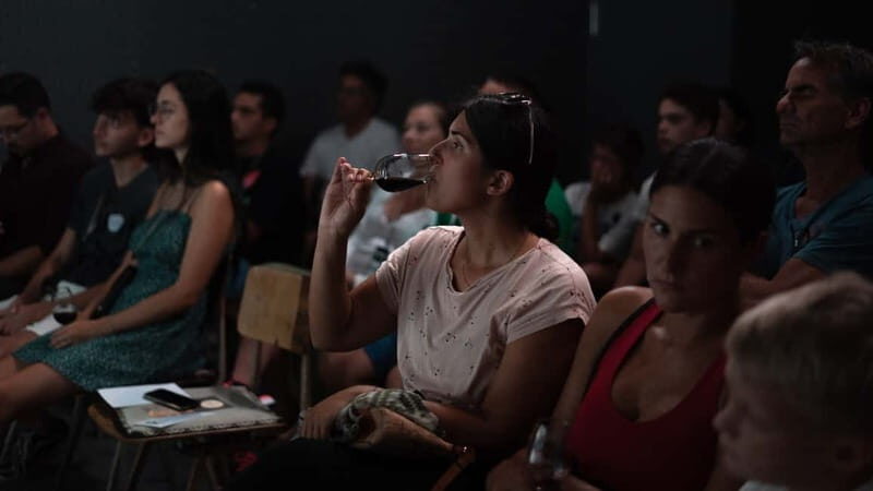 Porto: Live Fado Concert with Glass of Tawny Port Wine - How Fado Stays Alive: Tradition, Change, and Survival