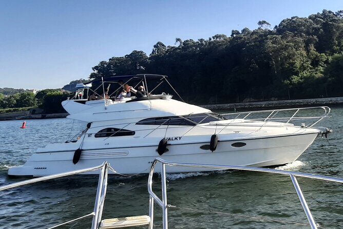 Porto: Luxury Yacht Cruise on the Douro River and Estuary Reserve - Stop 1: Douro River Cruise from Marina da Afurada to Ponte D. Luís