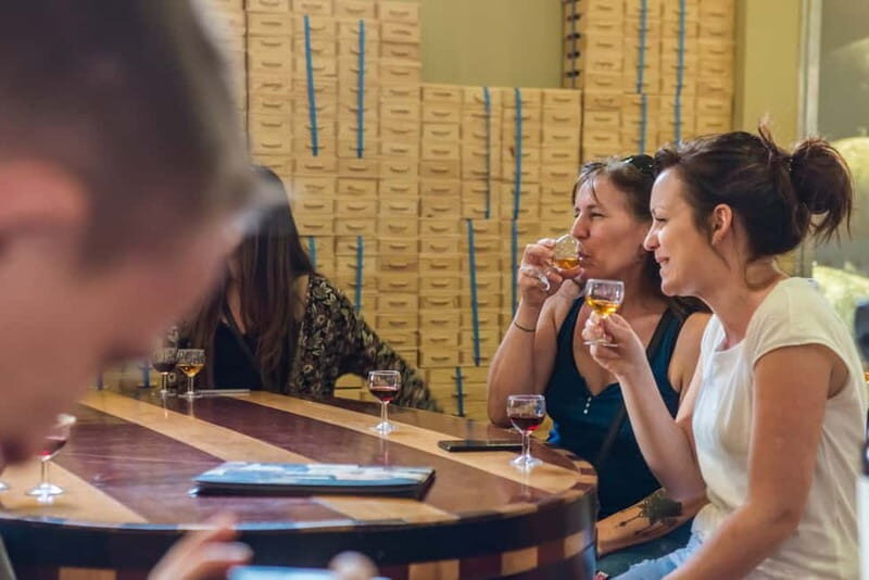 Porto: Magic Train Tour and Port Wine Cellar with Tastings - Key things to know before you go