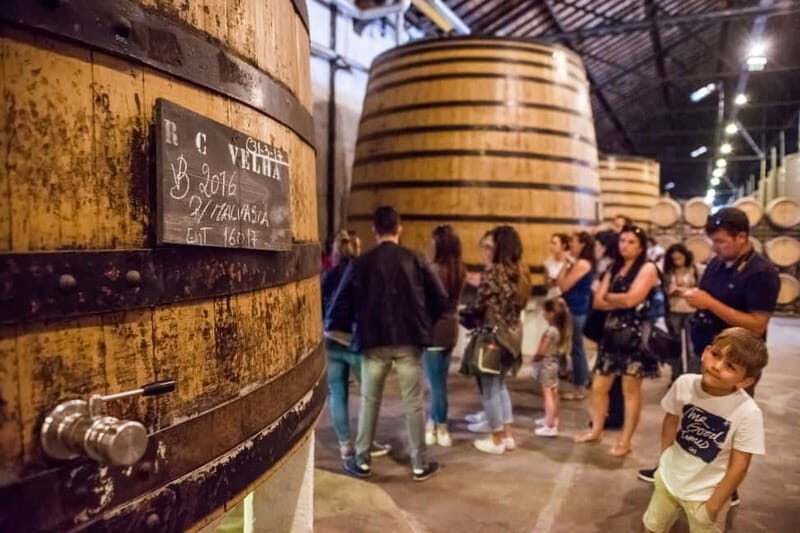 Porto: Magic Train Tour and Port Wine Cellar with Tastings - Starting at Porto Cathedral: your meeting point matters