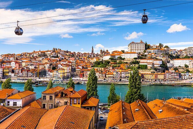 Porto: Morning City Tour with Six Bridges Cruise - Vila Nova de Gaia and port wine: the one-hour cellar break