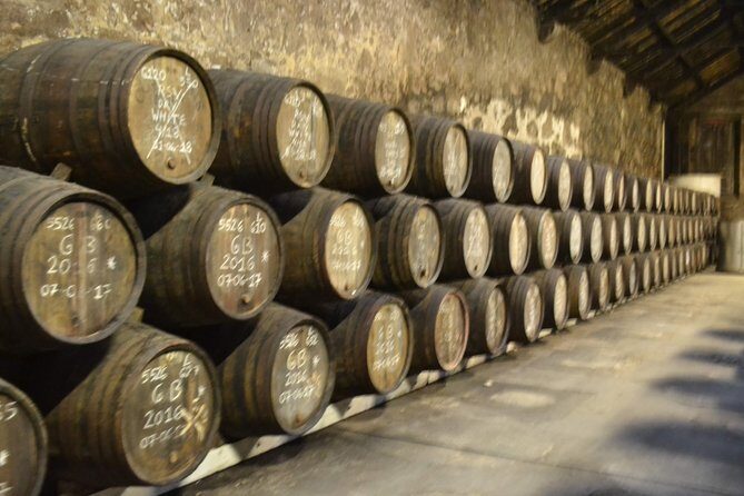 Porto: Port and Douro Wine Walking Tour With 9 Wine Tastings - Your Walk: Pace, Uphill Start, and Weather Reality