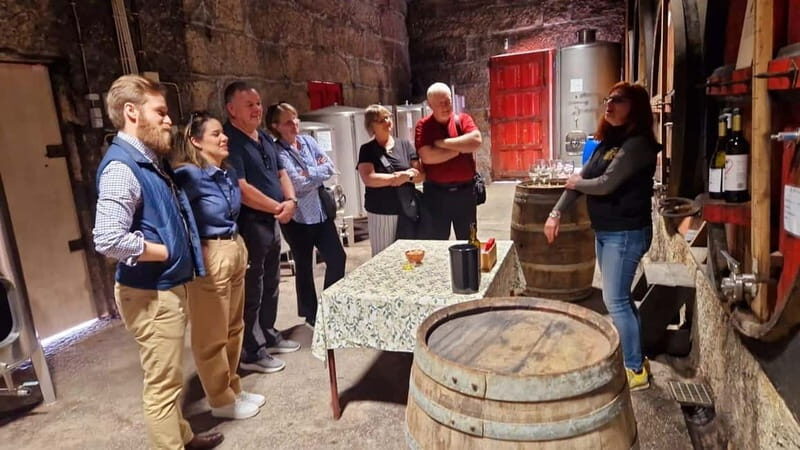 Porto: Premium Douro Valley Small-Group Tour, Cruise & Lunch - Key highlights to know before you go
