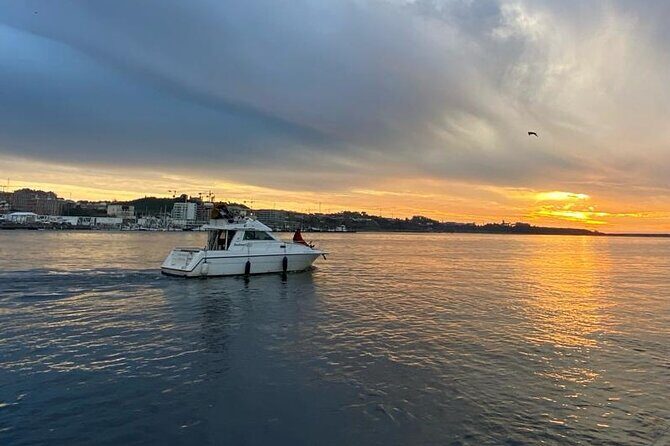 Porto: Private 6 bridges tour, Douro river with sunset option - Two hours of bridges: what “six bridges” feels like on the Douro