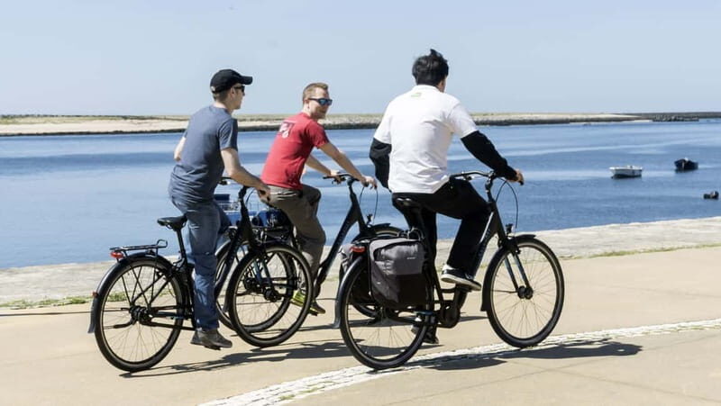 Porto Private E-Bike Tour: Douro River, Parks & Beaches - Start Here: BICLAS & TRICLAS and the Big Mural Meet-Up