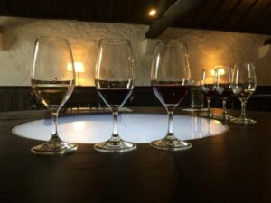 Porto: Private Guided Wine-Tasting Tour - Wine Tastings That Actually Build a Picture of Portugal