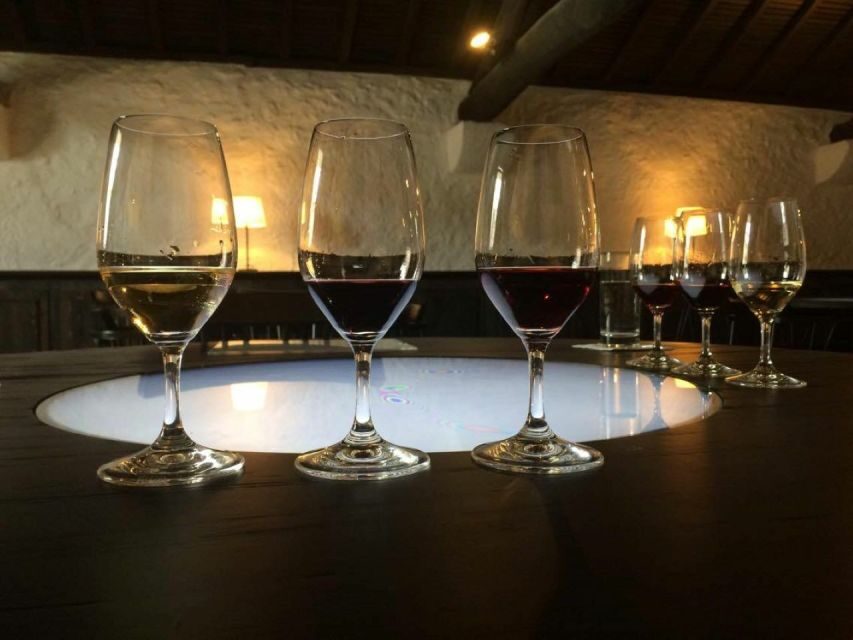 Porto: Private Guided Wine-Tasting Tour - Wine Tastings That Actually Build a Picture of Portugal