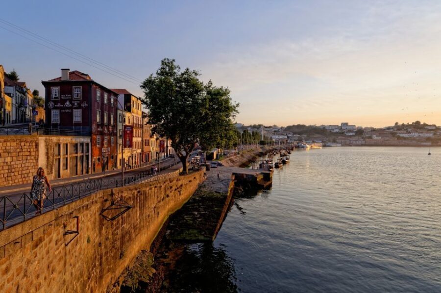 Porto Private Half Day Walking Tour: Cruise & Wine Tasting - The wine cellar stop in Vila Nova de Gaia: tasting Port with context