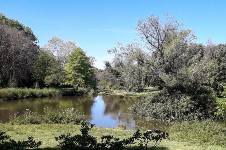 Porto Riverbank Tour on an e-bike: Atlantic Coast, Gardens - Foz do Douro and Castelo do Queijo: where the river hands off to the ocean