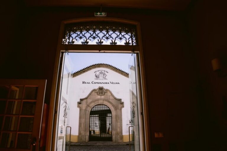 Porto: Royal Oporto Tour na Real Companhia Velha - Entering the cellars: darkness, silence, and the smell of old wood