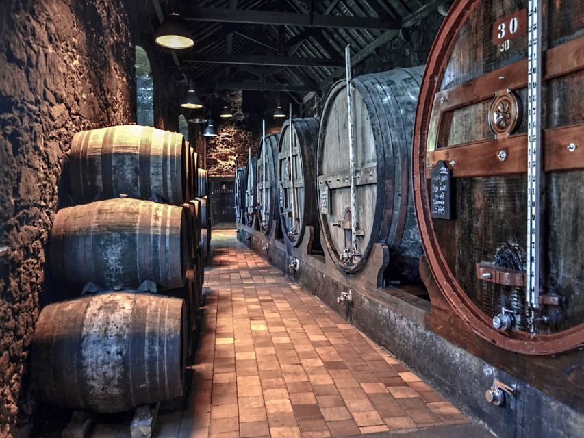 Porto: Self-Guided Bike and Boat Tour with Port Wine Tasting - Afurada fishing village: snacks where the locals actually eat