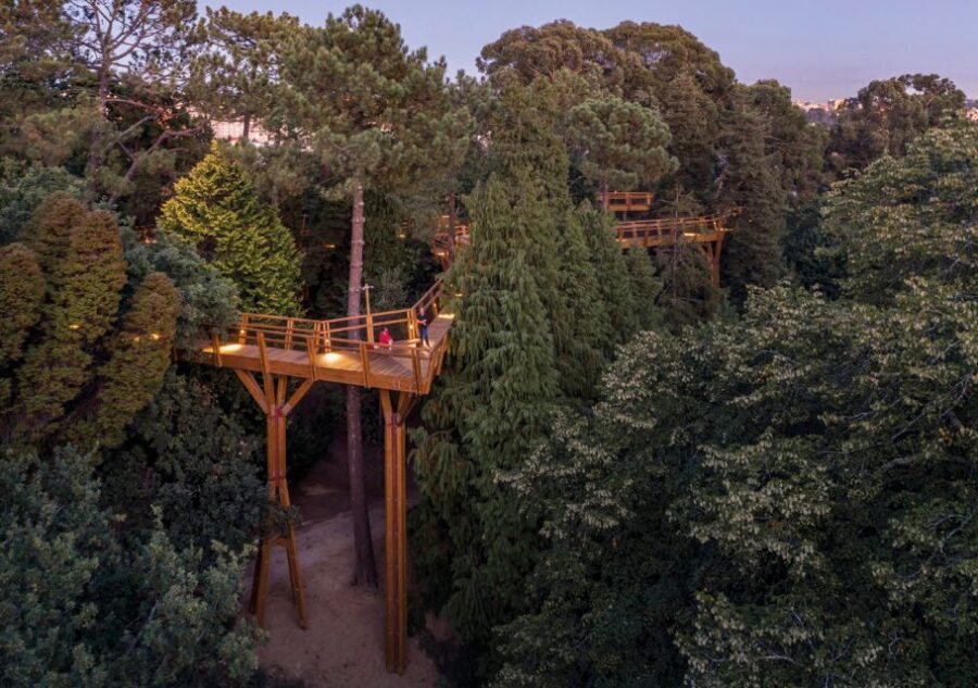 Porto: Serralves Park Entry Ticket - How the Park Connects Garden Design History to Today