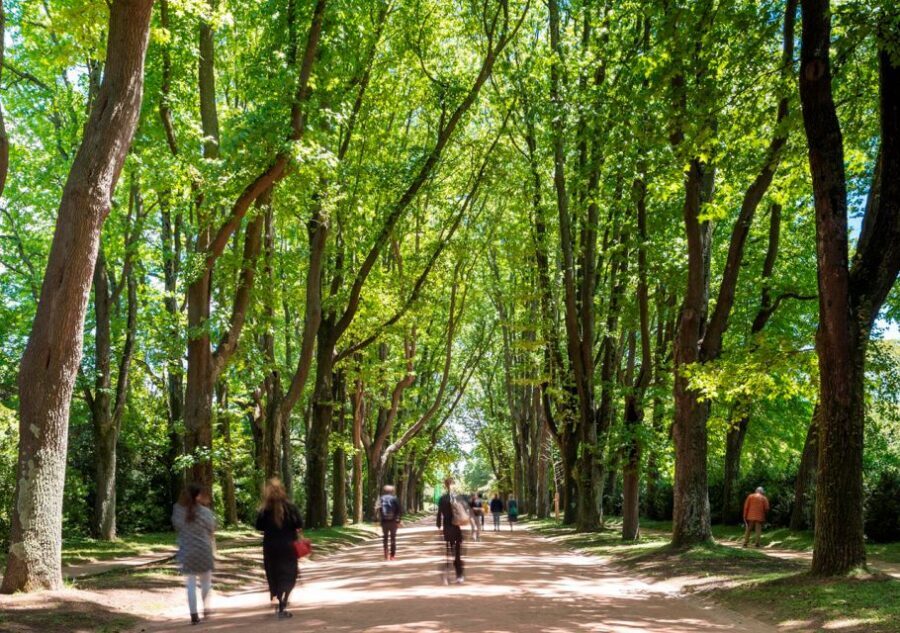 Porto: Serralves Park Entry Ticket - The House and Art Side of Serralves
