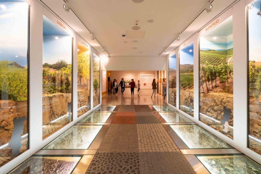 Porto: Taylor’s Port Cellar Tour & WOW Museum Pack - Taylor’s Port cellars: 300 years of aging, one route