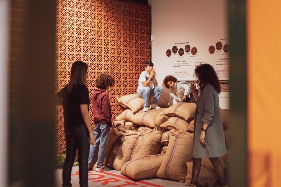 Porto: Taylor’s Port Cellar Tour & WOW Museum Pack - Should you book the Porto WOW and Taylor’s Port package?