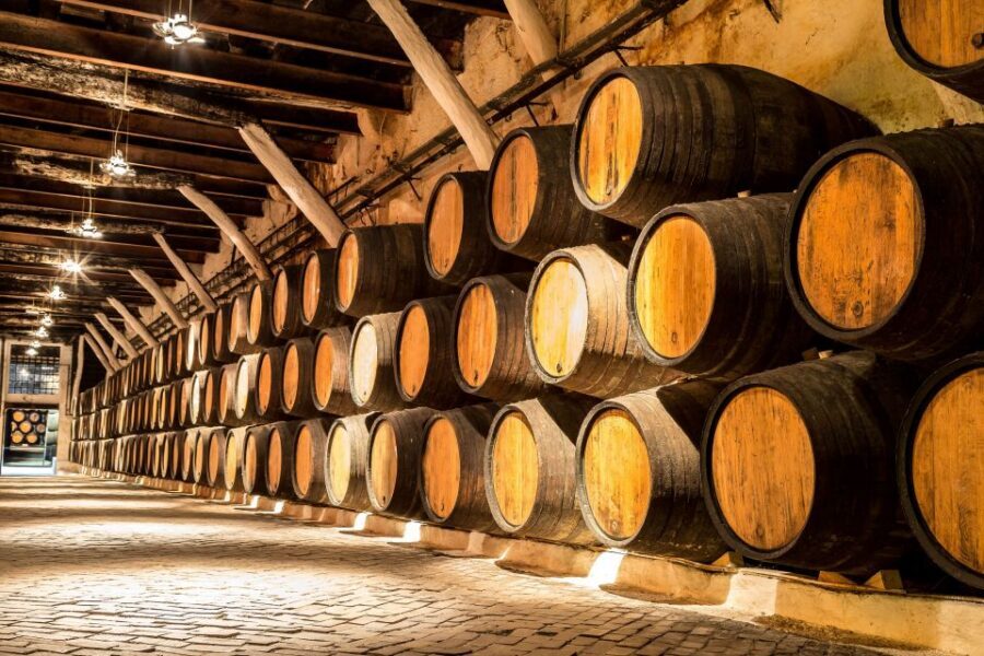Porto: Tuk-Tuk Tour, Douro River Cruise, and Wine Tasting - Planning your day: pairing the cruise, winery, and walking tour