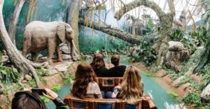 Porto: World of Discoveries Entry Ticket - The 20 themed rooms: what you’ll actually see and how it helps
