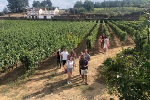 Premium Douro Valley Small-Group Tour, Wine Tasting, Lunch & Boat - Pinhão and the wooden boat ride: the reset button