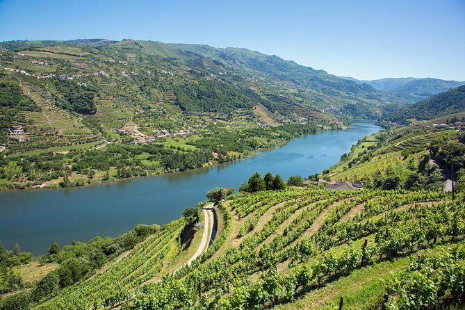 Premium Douro Valley Small-Group Tour, Wine Tasting, Lunch & Boat - Casa dos Barros for lunch: Portuguese comfort with vineyard views