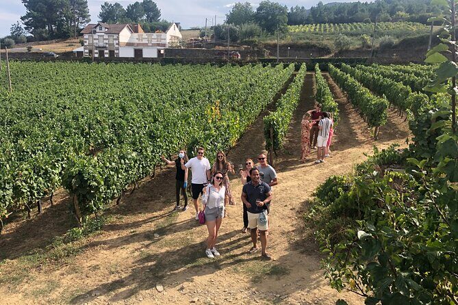 Premium Douro Valley Small-Group Tour, Wine Tasting, Lunch & Boat - Pinhão and the wooden boat ride: the reset button