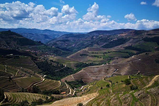 Premium Private Douro Tour: 3 Wineries with Tastings & Lunch - Stop 2: Pinhão area lunch, a viewpoint break, and that blue-tile station pass
