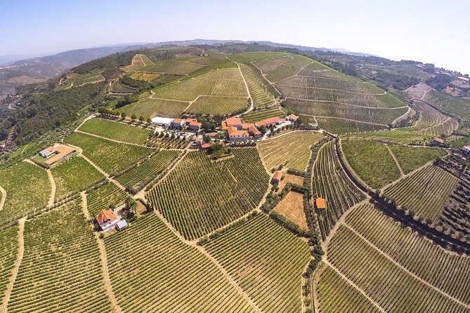 Premium Private Douro Tour: 3 Wineries with Tastings & Lunch - Stop 3: Quinta de Tourais and how DOC and port are made differently