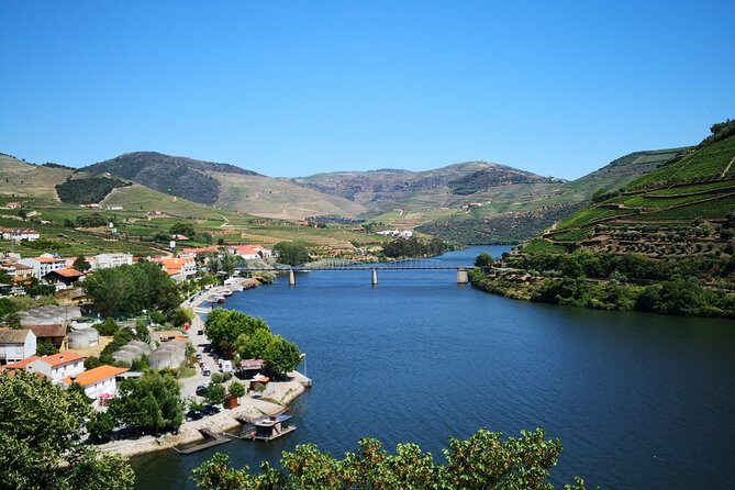 Premium Private Douro Tour: 3 Wineries with Tastings & Lunch - Stop 4: Quinta Seara d’Ordens, the river roads, and the olive oil touch