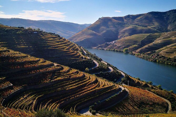 Premium Private Douro Tour: 3 Wineries with Tastings & Lunch - Lunch with wine pairing: what to expect and how to enjoy it