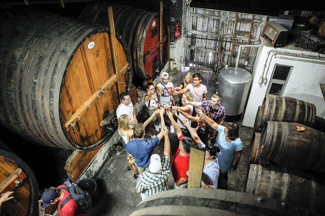 PREMIUM TASTING and TAPAS with GUIDED TOUR - Language, Timing, and Practical Details That Actually Matter