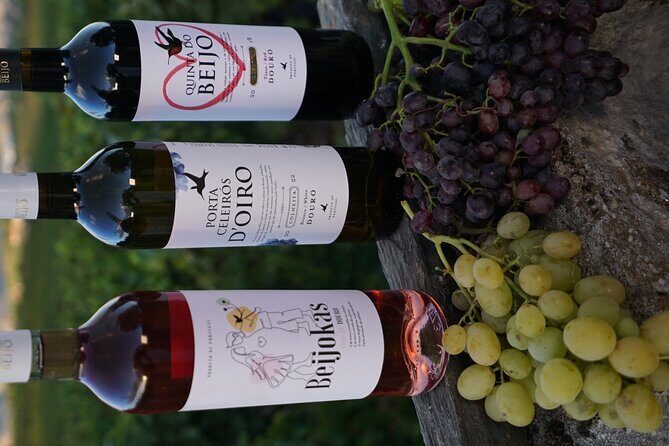 PREMIUM TASTING and TAPAS with GUIDED TOUR - Who This Tour Fits Best (and Who Should Skip It)