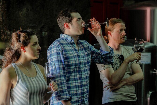 PREMIUM TASTING and TAPAS with GUIDED TOUR - Working Wines vs Aged Wines: Here’s How to Taste the Difference