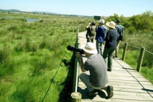 Private Birdwatching from Porto - Setting the tone: a private bird day that starts with real terrain