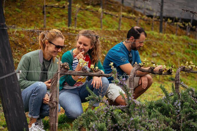 PRIVATE Day Trip Through Enchanting Douro Valley by Car & Boat - Pinhão wine centre time: small-town views you can walk off
