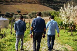PRIVATE Day Trip Through Enchanting Douro Valley by Car & Boat - Douro River by Rabelo boat: wineries from the water