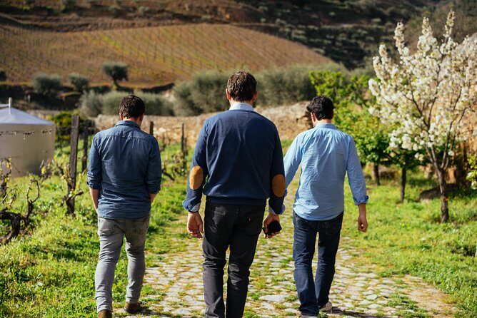 PRIVATE Day Trip Through Enchanting Douro Valley by Car & Boat - Douro River by Rabelo boat: wineries from the water